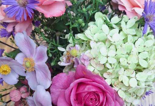 Mitgliedsbeiträge ab 01.01.2026