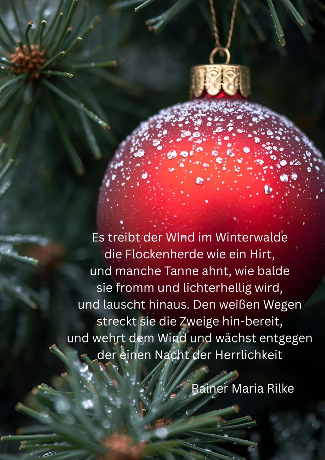 Weihnachtswunsch 2025