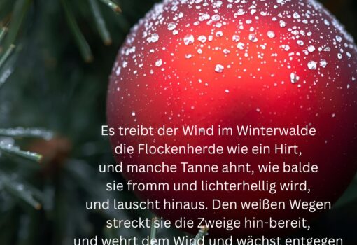 Weihnachtsgruß