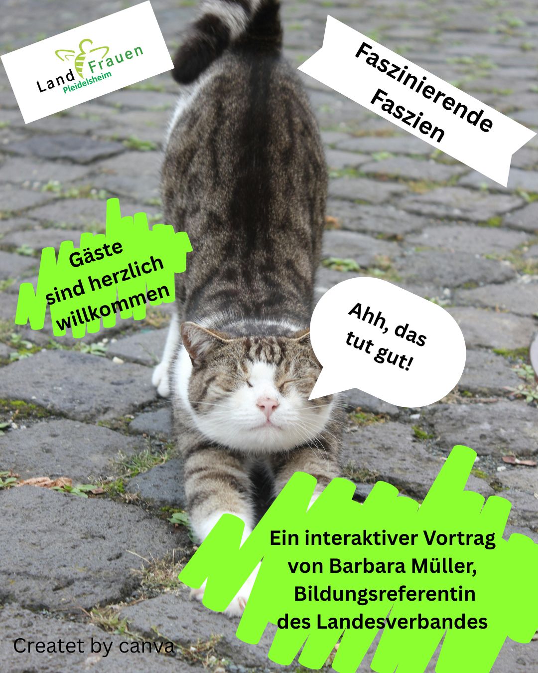 Faszinierende Faszien (1)