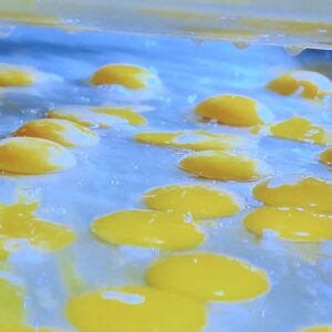 Eier Albgold
